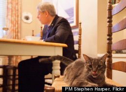 PM Stephen Harper, Flickr