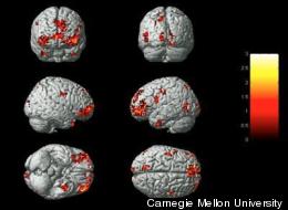 Brain Scans Can Reveal Your Emotions, Reveals Carnegie Mellon Study