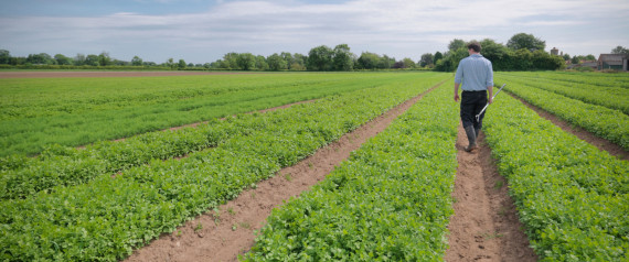 FARMERS